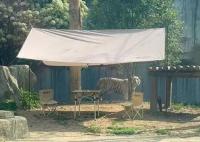 重金懸賞與虎同住的動(dòng)物園被罰 真相曝光簡(jiǎn)直太驚人了 