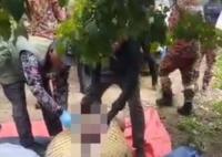 老人失蹤4天在鱷魚胃中發(fā)現(xiàn)遺骸 原因竟是這樣實在是太意外了