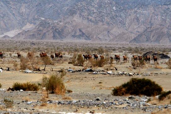 自駕進(jìn)羅布泊失聯(lián)者均遇難 到底是什么情況?