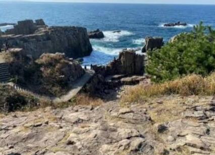 日本學(xué)生害怕被AI取代而自殺 原因竟是這樣實(shí)在是太意外了