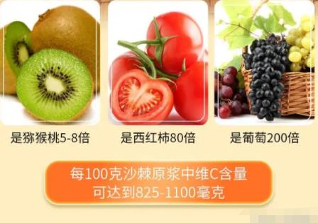 沙棘原漿多少錢?