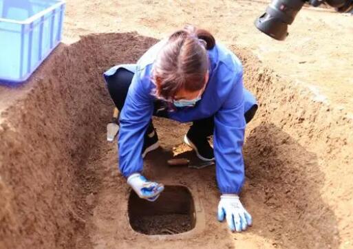 漢文帝霸陵殉葬坑發(fā)現(xiàn)神奇動物貘 到底是什么情況?