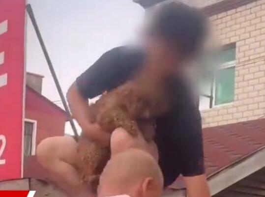 涿州男子獲救后折返找狗被吐槽 真相曝光簡直太驚人了