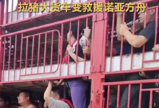 涿州洪災 拉豬大貨車變“諾亞方舟” 真相曝光簡直太驚人了  