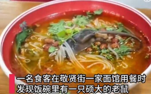 顧客吃面發(fā)現(xiàn)碗里有完整死老鼠 照片曝光實(shí)在是太嚇人了