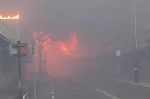 夏威夷山火致53死 航拍像被轟炸戰(zhàn)區(qū) 真相曝光簡直太驚人了