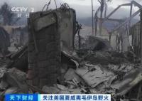 夏威夷山火已致80死 中國(guó)游客講述 真相曝光簡(jiǎn)直太驚人了