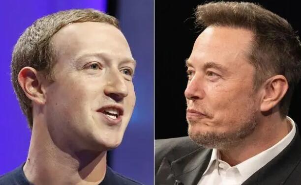 超級富豪“籠斗約架”夭折? 真相太出乎意料了