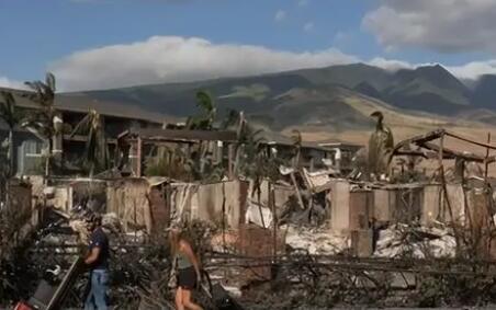 夏威夷大火后多人接房地產收購電話 真相曝光簡直太驚人了 