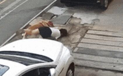金毛撲倒女子事件雙方已和解 背后原因簡直驚呆了眾人  