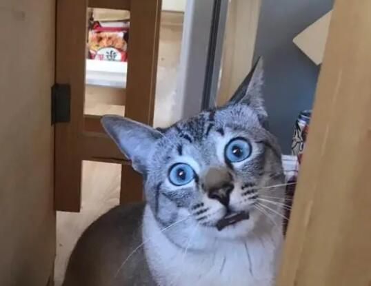 男子為“前女友”交房貸后被拉黑 真相曝光簡(jiǎn)直太驚人了