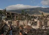 夏威夷大火后多人接房地產(chǎn)收購(gòu)電話 真相曝光簡(jiǎn)直太驚人了 