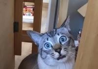 男子為“前女友”交房貸后被拉黑 真相曝光簡(jiǎn)直太驚人了