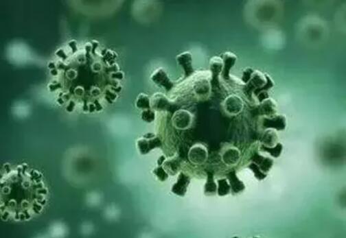 專家稱普通人每年會(huì)感染新冠1至3次 到底是什么情況?