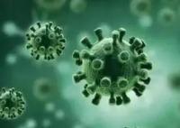 專家稱普通人每年會(huì)感染新冠1至3次 真相曝光簡(jiǎn)直太驚人了