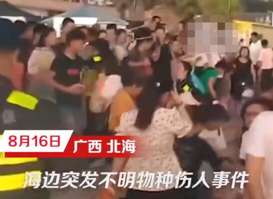 科普博主談北海咬傷游客事件 到底是什么情況?