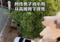男子將小狗從高樓拋下摔死并炫耀 真相曝光簡(jiǎn)直太驚人了