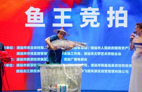 “魚王”拍出30萬 買家當(dāng)場放生 真相曝光簡直太驚人了