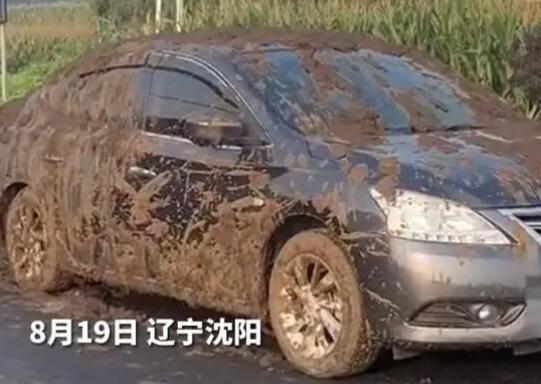 小車被運(yùn)糞車追尾灌一車糞便 真相曝光簡直太驚人