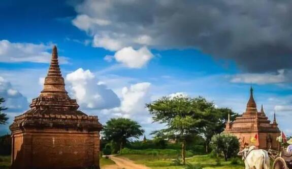 在緬華人稱被騙者有低齡化趨勢 原因竟是這樣實在是太意外了