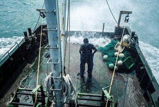 中國漁民:日本把我財(cái)路給斷了 原因竟是這樣實(shí)在是太意外了