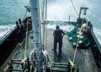 中國漁民:日本把我財路給斷了 真相曝光簡直太驚人了