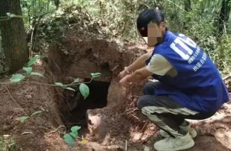 四川男子邀約多人盜墓9處被抓 真相曝光簡(jiǎn)直太驚人了