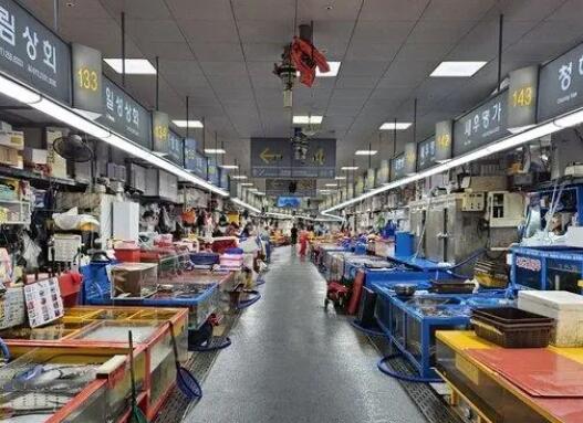 韓國釜山最著名海鮮市場(chǎng)生意冷清 到底是什么情況?