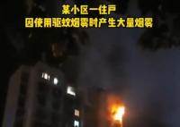 用驅(qū)蚊煙霧后開(kāi)電扇瞬間爆燃 真相曝光簡(jiǎn)直太驚人了