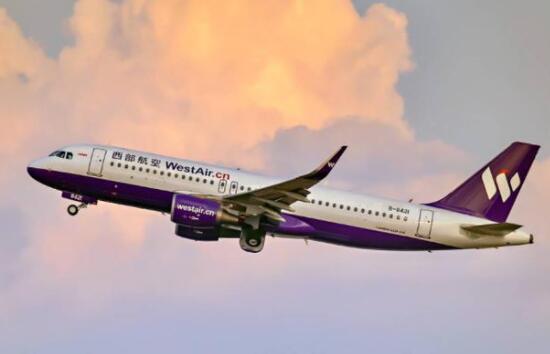 南寧至重慶一航班遭鳥擊返航 一連串撞擊聲太嚇人