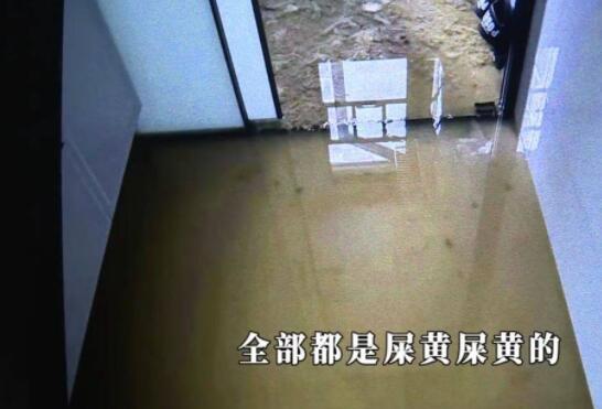 新房五天遭糞水淹兩次 業(yè)主崩潰 糞水深度達(dá)到了2cm深