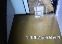 新房五天遭糞水淹兩次 業(yè)主崩潰 新家瞬間成了化糞池