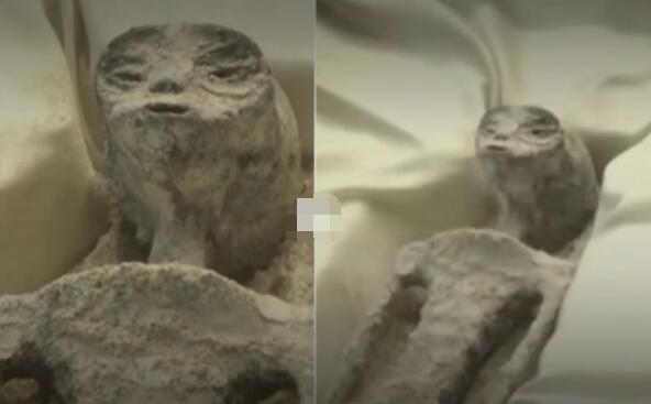 全球首個(gè)承認(rèn)外星生物存在的國家 公開了有1000年歷史的遺骸