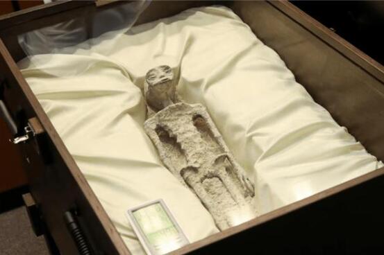全球首個承認(rèn)外星生物存在的國家 公開了有1000年歷史的遺骸