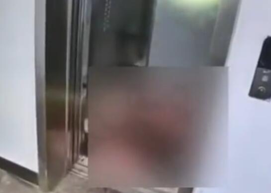 社區(qū)辟謠公寓樓電梯內(nèi)發(fā)生命案 殺人一說系謠言