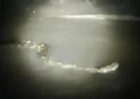 周口河中現(xiàn)巨型“長(zhǎng)蟲(chóng)”?當(dāng)?shù)鼗貞?yīng) 大的蟒蛇是非常罕見(jiàn)的