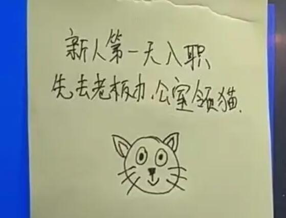 重慶一公司回應(yīng)新員工可領(lǐng)貓 成為網(wǎng)友們口中的“神仙公司”