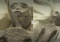 墨西哥非人類遺骸發(fā)現(xiàn)者被扒 強烈質(zhì)疑“遺體”為人造