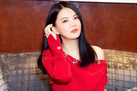 李湘為什么那么有錢?