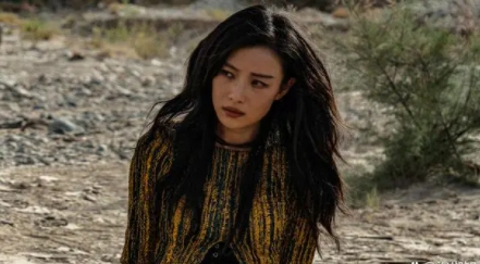 類似《西出玉門》的電視劇有哪些?