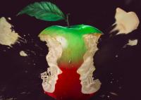 半熟男女羅瑪和韓蘇最后在一起了嗎?