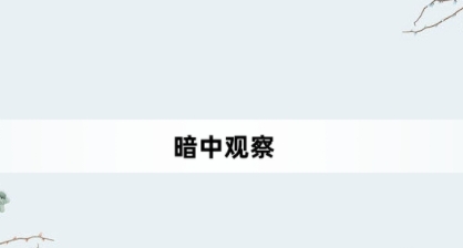 暗中觀察網(wǎng)絡(luò)梗詞解釋