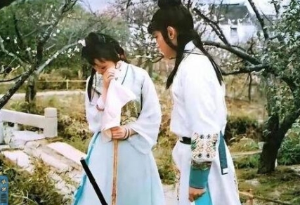 87版紅樓夢(mèng)黛玉葬花是第幾集?