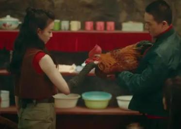 西出玉門雞有什么用?