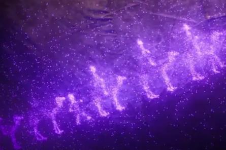 西出玉門小咬是什么東西?