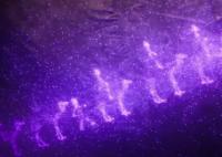 西出玉門小咬是什么東西?