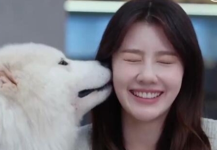 甜蜜的你是小說改編的嗎?