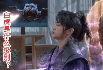 虎鶴妖師錄妖魔實(shí)力劃分