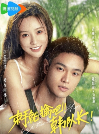 束手就擒吧韓隊(duì)長(zhǎng)一共幾集?