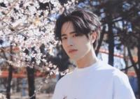 大唐小吃貨2司馬清揚是誰演的?